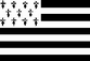 [Breton flag]
