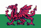 [Welsh flag]